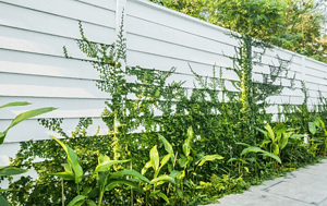 simple fence line landscaping ideas