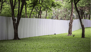 fence line backyard landscaping ideas along fence