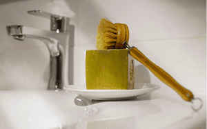 how to get rid of springtails in bathroom sink