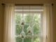 Creative Window Decor Ideas to Transform Your Space
