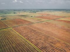 Tips for Selling Land Faster Without Traditional Listing Tips for Selling Land Faster Without Traditional Listing