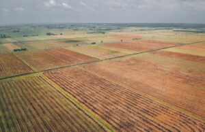 Tips for Selling Land Faster Without Traditional Listing Tips for Selling Land Faster Without Traditional Listing