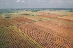 Tips for Selling Land Faster Without Traditional Listing