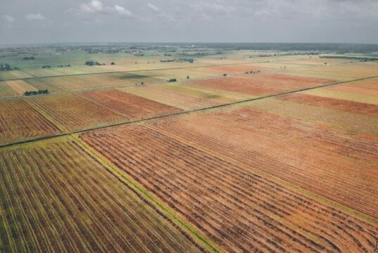 Tips for Selling Land Faster Without Traditional Listing Tips for Selling Land Faster Without Traditional Listing