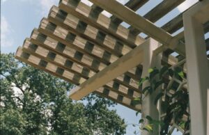 Enhance Your Outdoor Space with Custom Pergola Designs