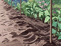 Why Standard Garden Fences Fail and What Actually Works for Deer Control