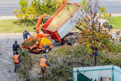 Who Can Remove a Tree in Ozark, Missouri?